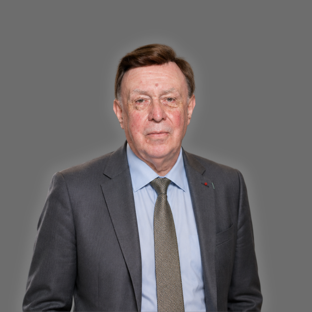 Daniel-Julien NOËL 